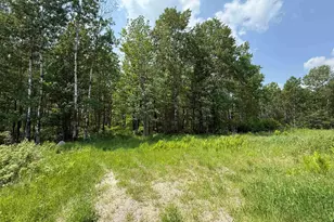 Tbd Samuelson Rd, Angora, MN 55703 - Photo 1