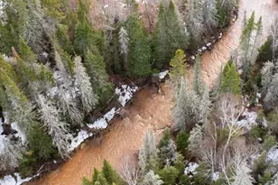 772Xx Lois Ln, Port Wing, WI 54865 - Photo 1