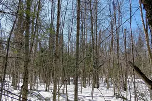 Xxx County Hwy 8, Finland, MN 55603 - Photo 1