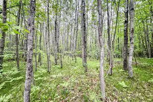 0 Kelly Rd, Lake Nebagamon, WI 54849 - Photo 1