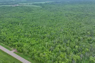 67 Acres On County Hwy A, Iron River, WI 54847 - Photo 1