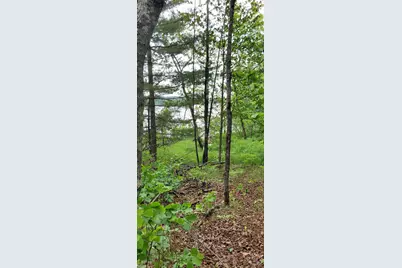 Tbd Palm Dr, Gilbert, MN 55741 - Photo 1