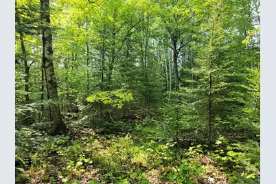 10X Franks Way, Grand Marais, MN 55604 - Photo 1