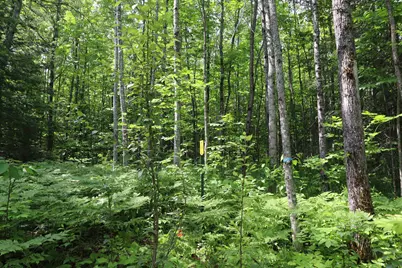 82Xxx Lenawee Rd, Herbster, WI 54844 - Photo 1