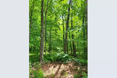 00 N Olson Rd, Hayward, WI 54843 - Photo 1