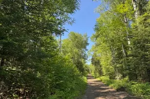 305 Irish Creek Rd, Hovland, MN 55606 - Photo 1