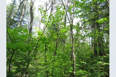 X7 N Caps Tr, Lutsen, MN 55612 - Photo 1