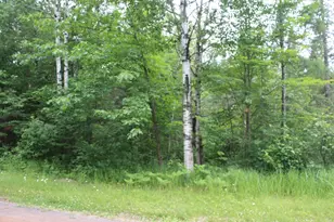 51Xx Olson Rd, Brule, WI 54820 - Photo 1