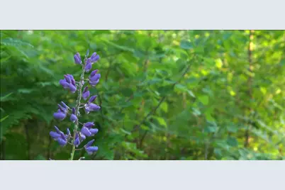 83Xxx Ashwabay Heights Rd, Bayfield, WI 54814 - Photo 1