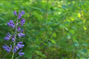 83Xxx Ashwabay Heights Rd, Bayfield, WI 54814 - Photo 1