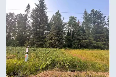 Tbd Bodas Rd, Eveleth, MN 55734 - Photo 1