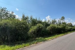 Tbd S Pintar Rd, Hibbing, MN 55746 - Photo 1