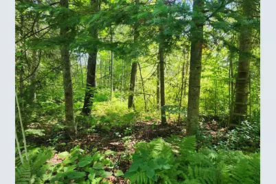 Xxx Creek Tr, Bayfield, WI 54814 - Photo 1