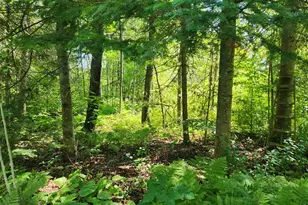 Xxx Creek Trail, Bayfield, WI 54814 - Photo 1