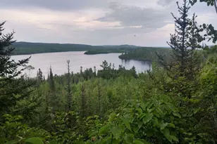 77 Magnetic Lake, Grand Marais, MN 55604 - Photo 1