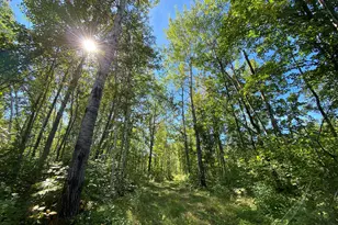 4048 Little Rd, Barnum, MN 55707 - Photo 1