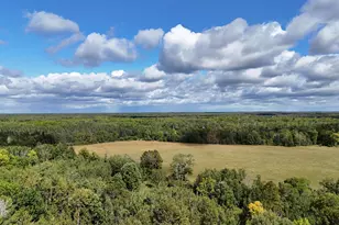 Tbd Itasca County, Wirt, MN 56362 - Photo 1