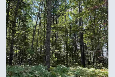 Xxx W Gravel Pit Rd, Iron River, WI 54847 - Photo 1