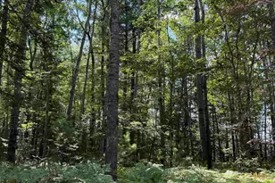 Xxx W Gravel Pit Rd, Iron River, WI 54847 - Photo 1