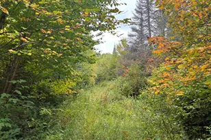 Xxx Stony River Forest Rd, Isabella, MN 55607 - Photo 1