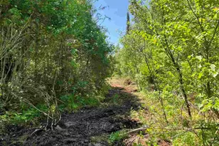 Xxx Stony River Forest Rd, Isabella, MN 55607 - Photo 1