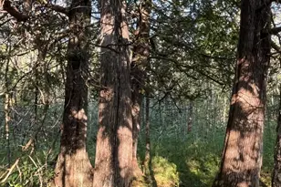 32Xx Zimmerman Rd, Duluth, MN 55804 - Photo 1