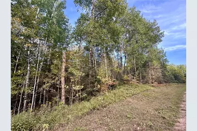 Tbd Old Vermilion Tr, Duluth, MN 55803 - Photo 1