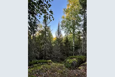 2Xx N Gunflint Lake Rd, Grand Marais, MN 55604 - Photo 1