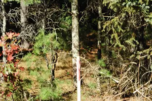 26Xx Ellison Lake Rd, Barnes, WI 54873 - Photo 1