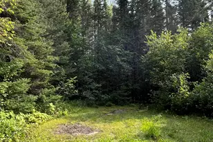 Xxx-A S Lost Lake Rd, Hovland, MN 55606 - Photo 1