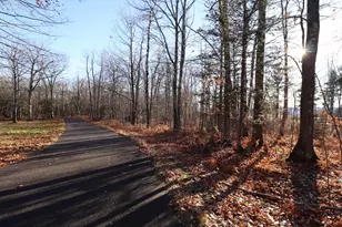Lot 29 Madeline Trail, Bayfield, WI 54814 - Photo 1
