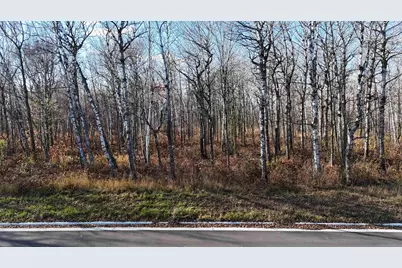 Xxxx Yellow Birch Trail, Duluth, MN 55810 - Photo 1