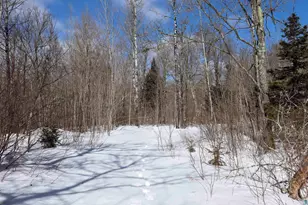 7Xx Caspers Hill Rd, Grand Marais, MN 55604 - Photo 1