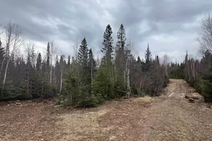 Xxx5 Heffelfinger Trail, Finland, MN 55614 - Photo 1