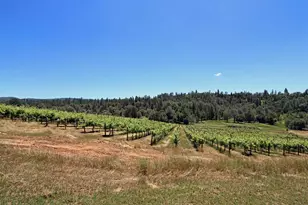 2145 Hidden Ranch Rd, Somerset, CA 95684 - Photo 15