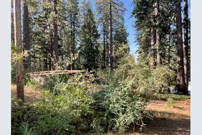 791 Highway 4, Arnold, CA 95223 - Photo 3