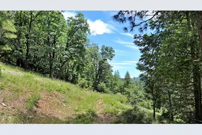 25555 Ca 49, Sierra City, CA 96125 - Photo 37