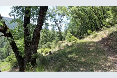 25555 Ca 49, Sierra City, CA 96125 - Photo 25