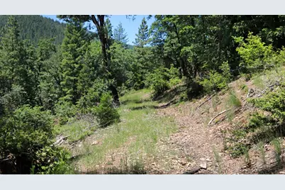 25555 Ca 49, Sierra City, CA 96125 - Photo 33