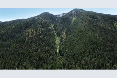 25555 Ca 49, Sierra City, CA 96125 - Photo 31