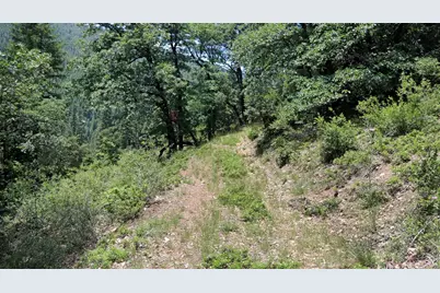 25555 Ca 49, Sierra City, CA 96125 - Photo 27