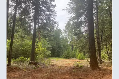 8180 Wild Horse Trail, Georgetown, CA 95634 - Photo 1