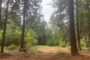 8180 Wild Horse Trail, Georgetown, CA 95634 - Photo 1