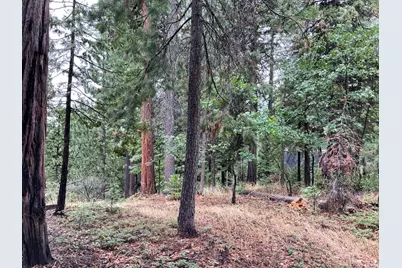 1526 Seminole, Arnold, CA 95223 - Photo 1