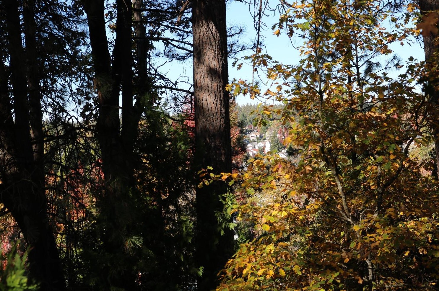 10458 Vly Vw Dr, Grass Valley CA  95949 exterior