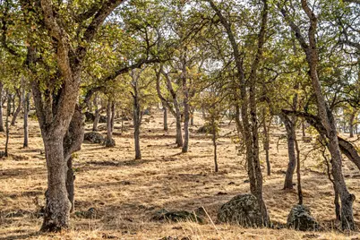 0 Ranch Road, Valley Springs, CA 95252 - Photo 25