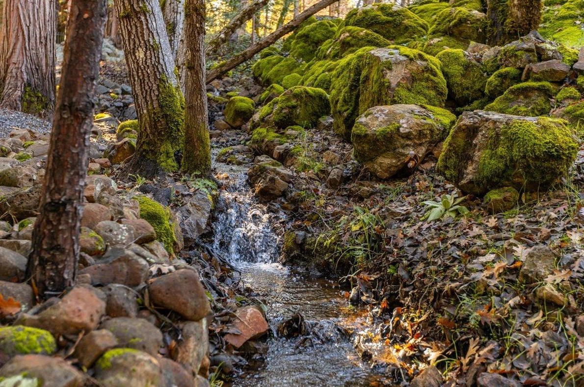 18135 Rollins Vw Dr, Grass Valley CA exterior