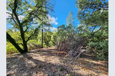 20335 Montana Lane, Colfax, CA 95713 - Photo 7