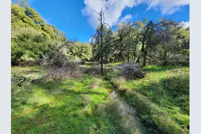 20335 Montana Lane, Colfax, CA 95713 - Photo 13