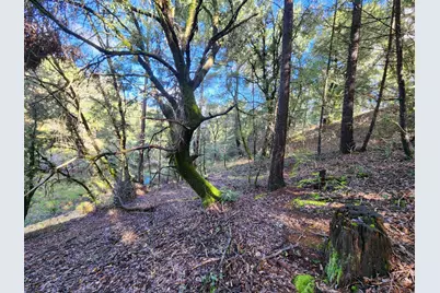 20335 Montana Lane, Colfax, CA 95713 - Photo 17